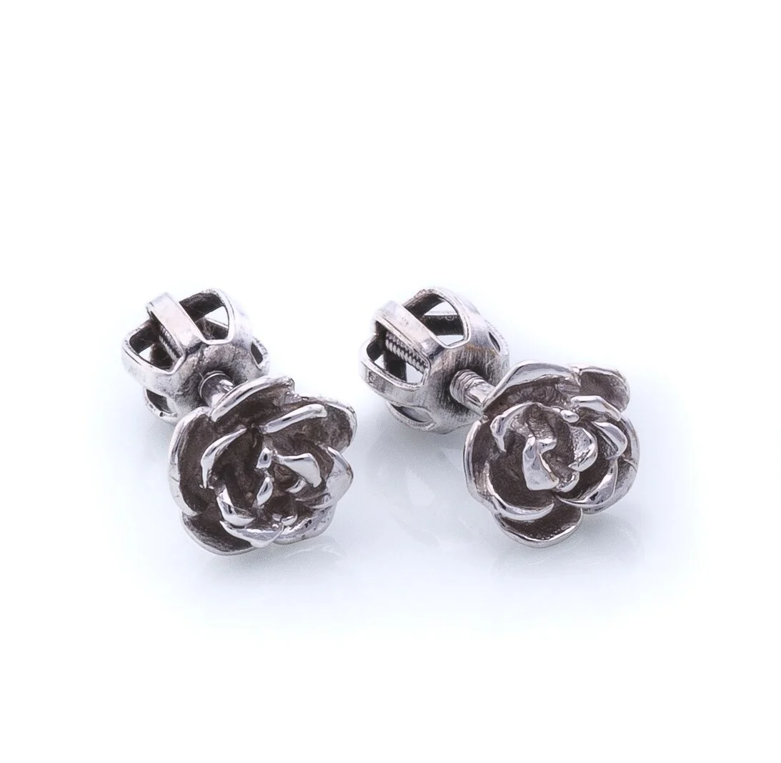 Růžičky bílé dscg0213